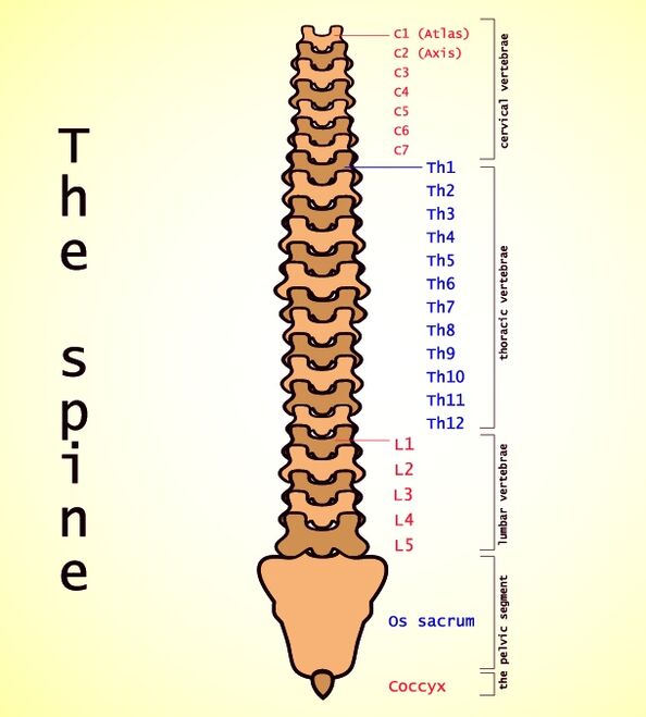 Lumbar osteochondrosia